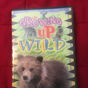 Growing Up Wild - Bouncing Babies