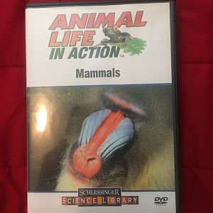 Animal Life in Action - Mammals