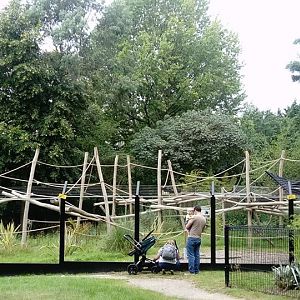 New Spider Monkey Enclosure (6th August 2020)