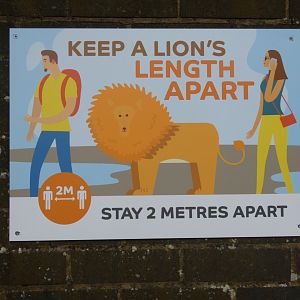 Social distancing signage