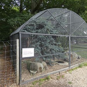 Empty aviary