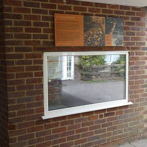 Egyptian Tortoise enclosure