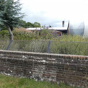Former tortoise enclosure