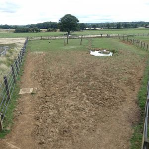 Greater One-horned Rhino enclosure (3)