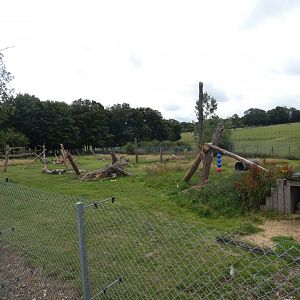 Sri Lankan Sloth Bear enclosure