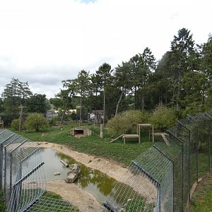 Amur Tiger enclosure