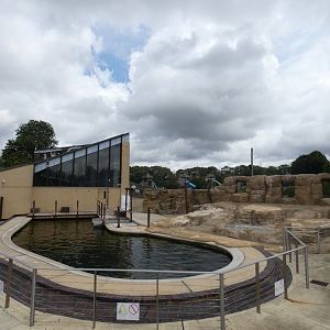 Californian Sea Lion enclosure