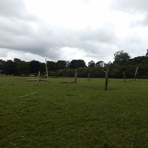 European Bison enclosure