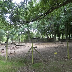 Wild Boar enclosure