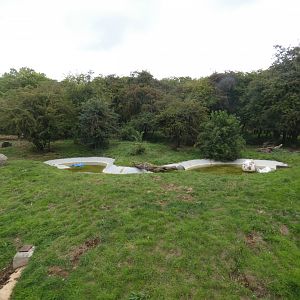 European Brown Bear enclosure