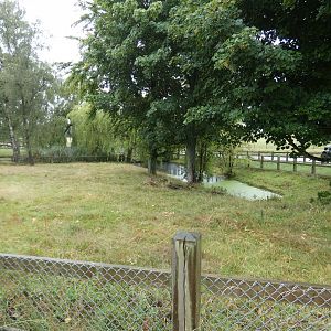 Pygmy Hippo enclosure