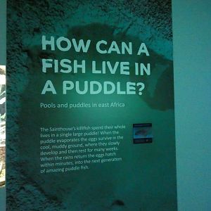 Signage in Aquarium
