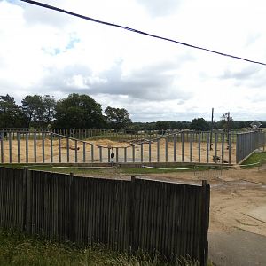 Asian Elephant bull enclosure