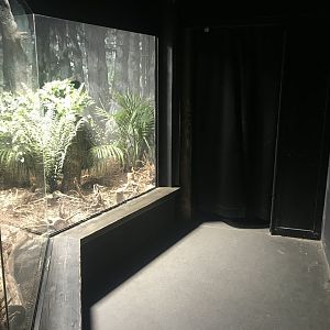 Kiwi enclosure