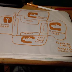 ZooCali: Big League House