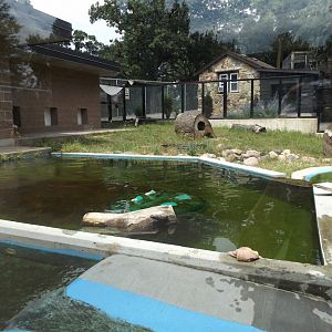 River Otter Exhibit