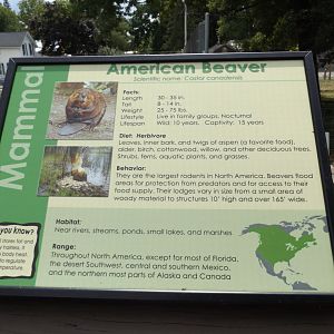 Beaver Information Sign