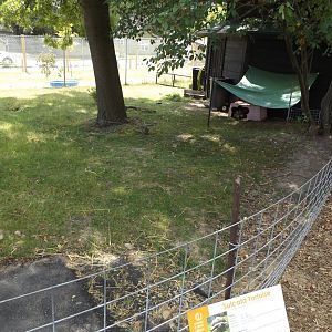 Spurred Tortoise Exhibit