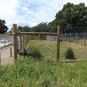 Emu Exhibit