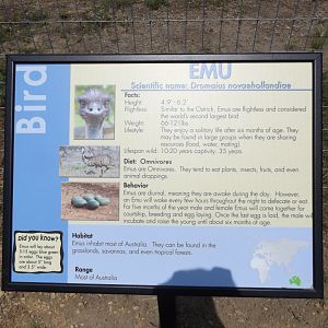 Emu Information Signage