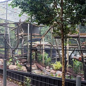 New Serval Enclosure