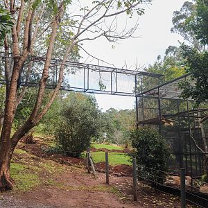 Serval Aerial Walkway