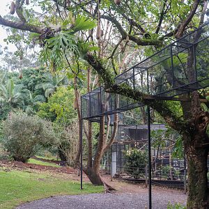 Serval Aerial Walkway