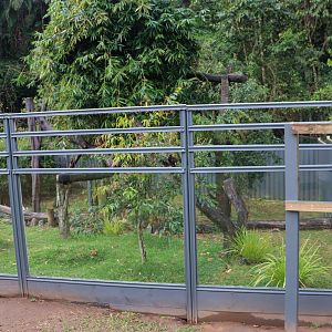 Radiated Tortoise Enclosure