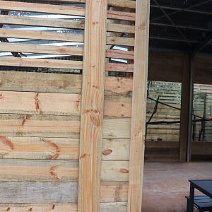 New Tamarin Enclosure in Café Area