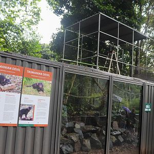 Future Quoll Enclosure - Under Construction
