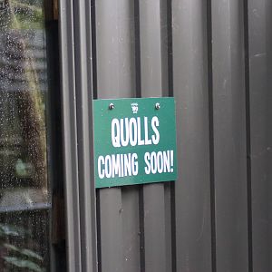 Quoll Sign