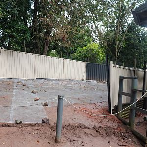 New Enclosure - Under Construction