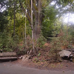 Future NW Development Area?