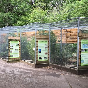 Asian songbird aviaries, Birdworld, August 2020