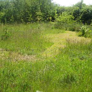 Økologiens Have - Landscape garden