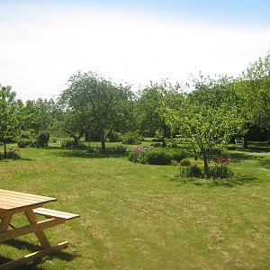 Økologiens Have - Fruit orchard