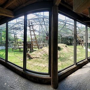 Aug. 2020 - Congo Expedition - Gorilla Exhibit