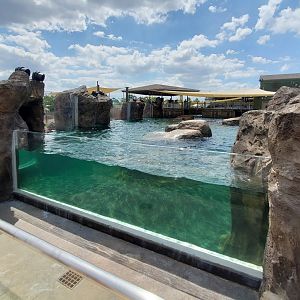 Aug. 2020 - New! Adventure Cove - Right Sea Lion/Harbor Seal Exhibit