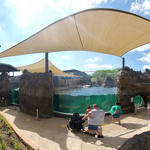 Aug. 2020 - New! Adventure Cove - Right Sea Lion/Harbor Seal Exhibit Panorama