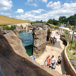 Aug. 2020 - New! Adventure Cove - Right Sea Lion/Harbor Seal Exhibit