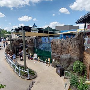 Aug. 2020 - New! Adventure Cove - Left Sea Lion Exhibit