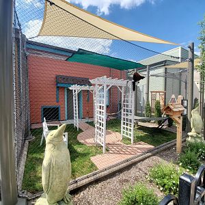 Aug. 2020 - New! Animal Encounters Village - Rotational Exhibit