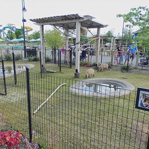Aug. 2020 - New! Animal Encounters Village - Capybara/Linne's Two-toed Sloth Exhibit
