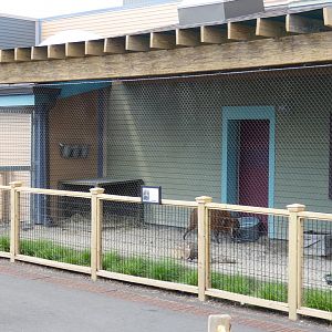 Aug. 2020 - New! Animal Encounters Village - Rotational Exhibit