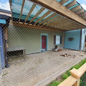 Aug. 2020 - New! Animal Encounters Village - Rotational Exhibit