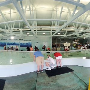 Aug. 2020 - Stingray Bay Panorama