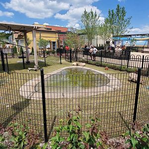 Aug. 2020 - New! Animal Encounters Village - Capybara/Linne's Two-toed Sloth Exhibit