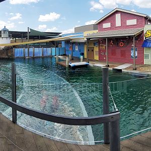 Aug. 2020 - New! Adventure Cove - Left Sea Lion Exhibit