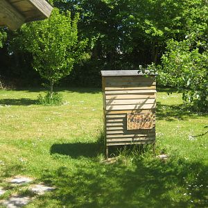 Økologiens Have - Fruit orchard - Bee hive