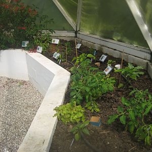 Økologiens Have - Inside one of the greenhouse domes